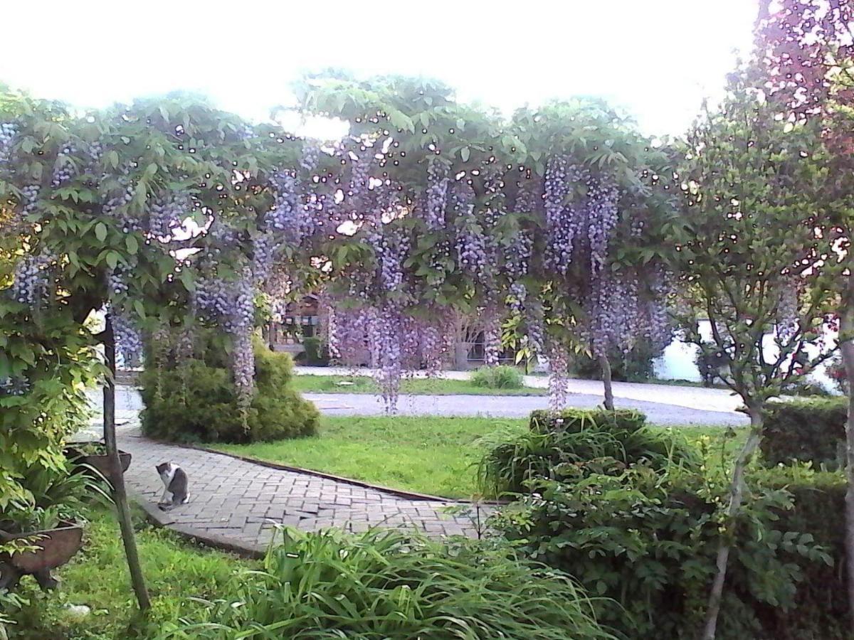קונאו B&B Cm Ranch מראה חיצוני תמונה